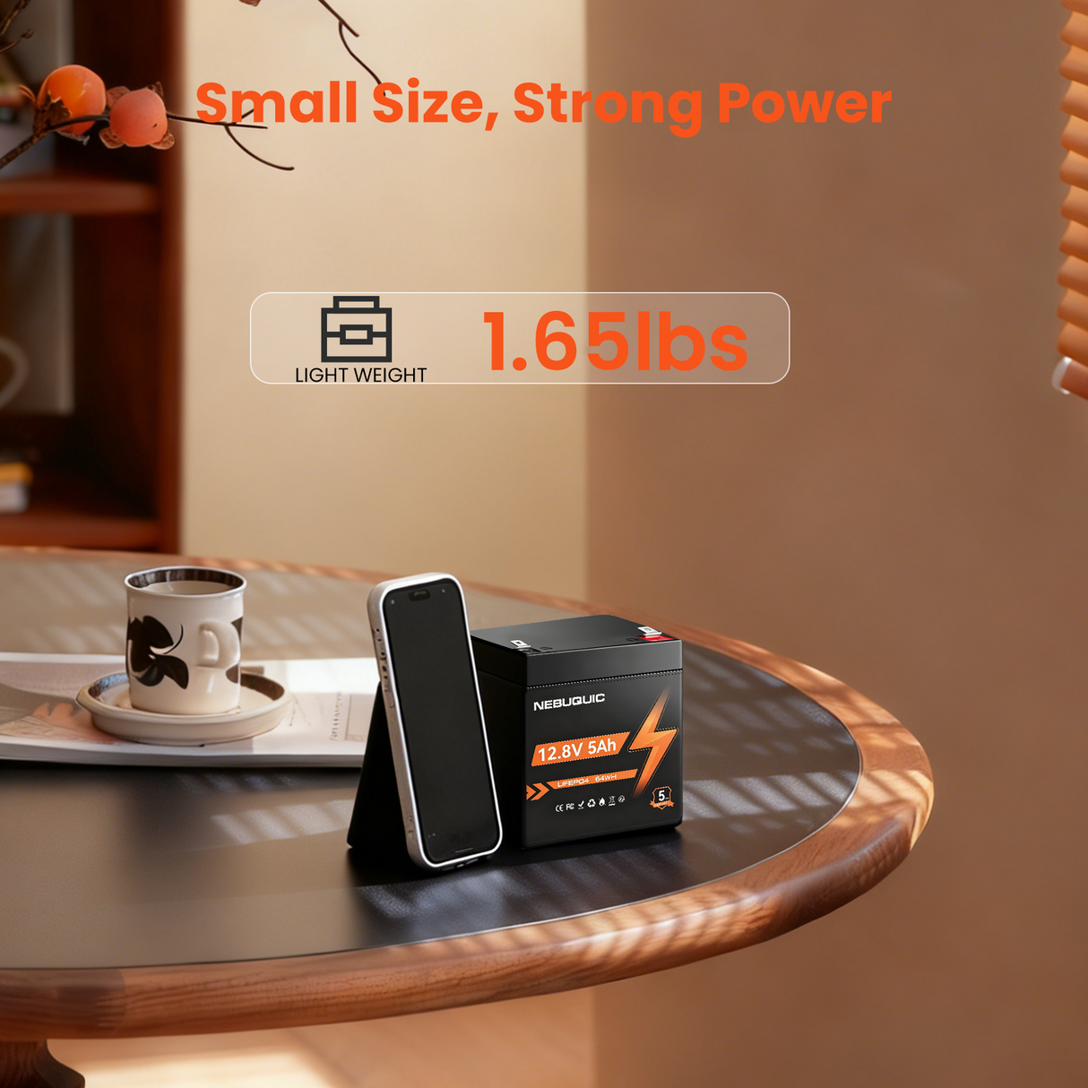 12V 5Ah LiFePO4 Battery, 3000+ Cycles & T1 Terminal Rechargeable Lithium Iron Phosphate Battery with BMS