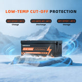 25.6V 200Ah Lithium LiFePO4 Battery, 15000+ Deep Cycle Battery with 100A BMS for RV, Marine, Trolling Motor, Solar