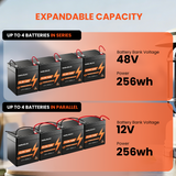 12V 5Ah LiFePO4 Battery, 3000+ Cycles & T1 Terminal Rechargeable Lithium Iron Phosphate Battery with BMS
