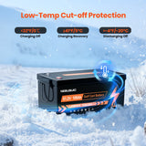 48V (51.2V) 100Ah LiFePO4 Golf Cart Battery, Built-in 200A BMS, 15000+ Deep Cycle Lithium Battery with Bluetooth APP, 18A Charger and LCD Display